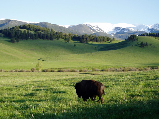 Top Five Largest Land Owners in Montana
