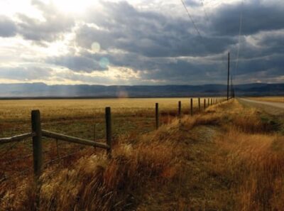 Montana Field