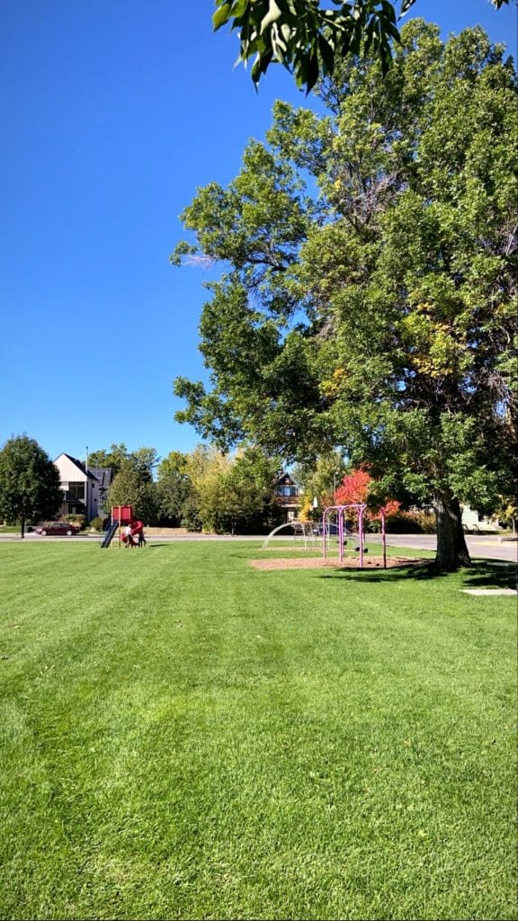 Beall Park