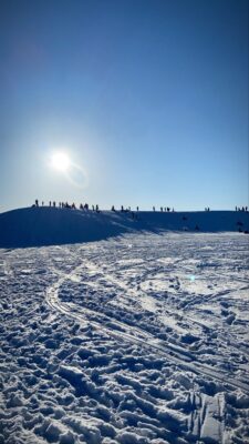 dinosaur park sledding hill