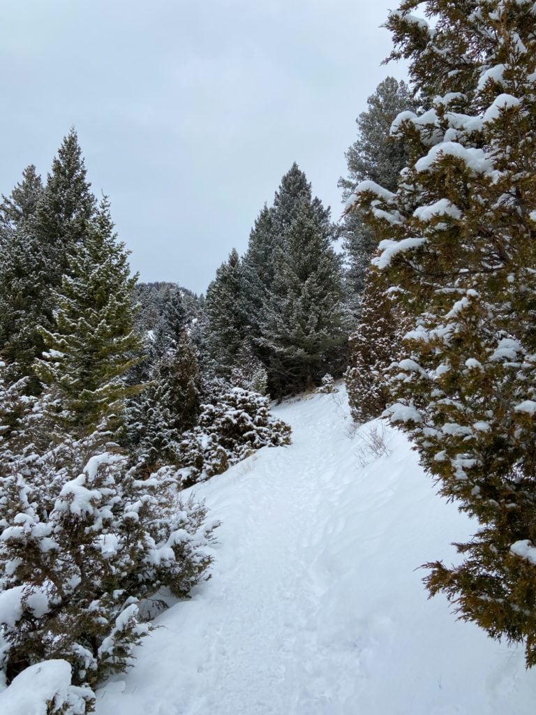 Best Winter Trails