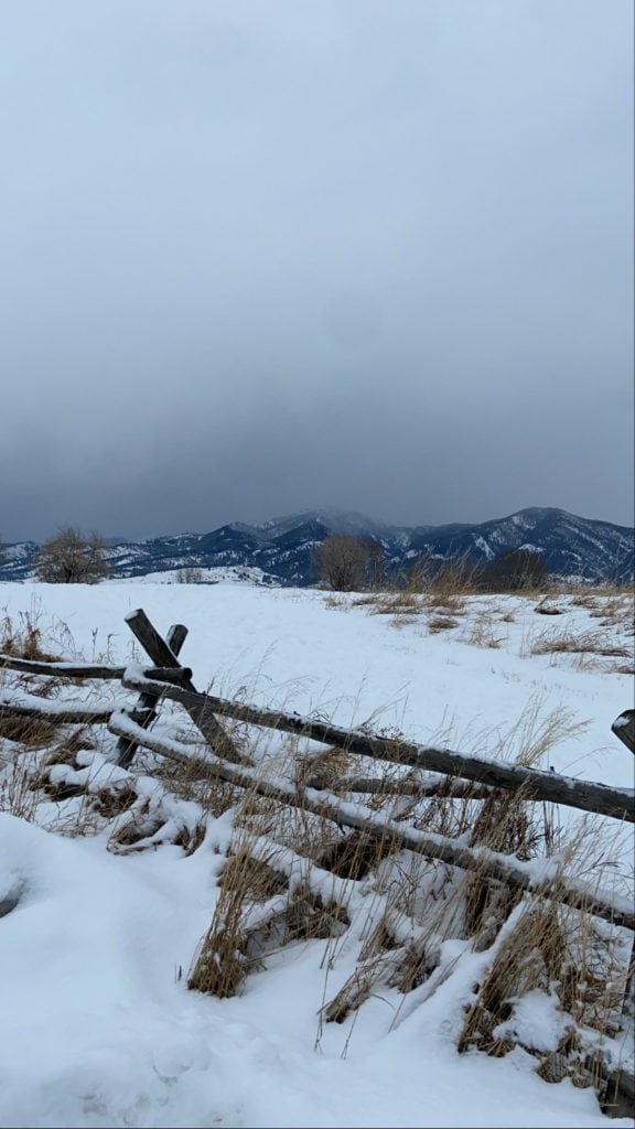 Best Winter Trails