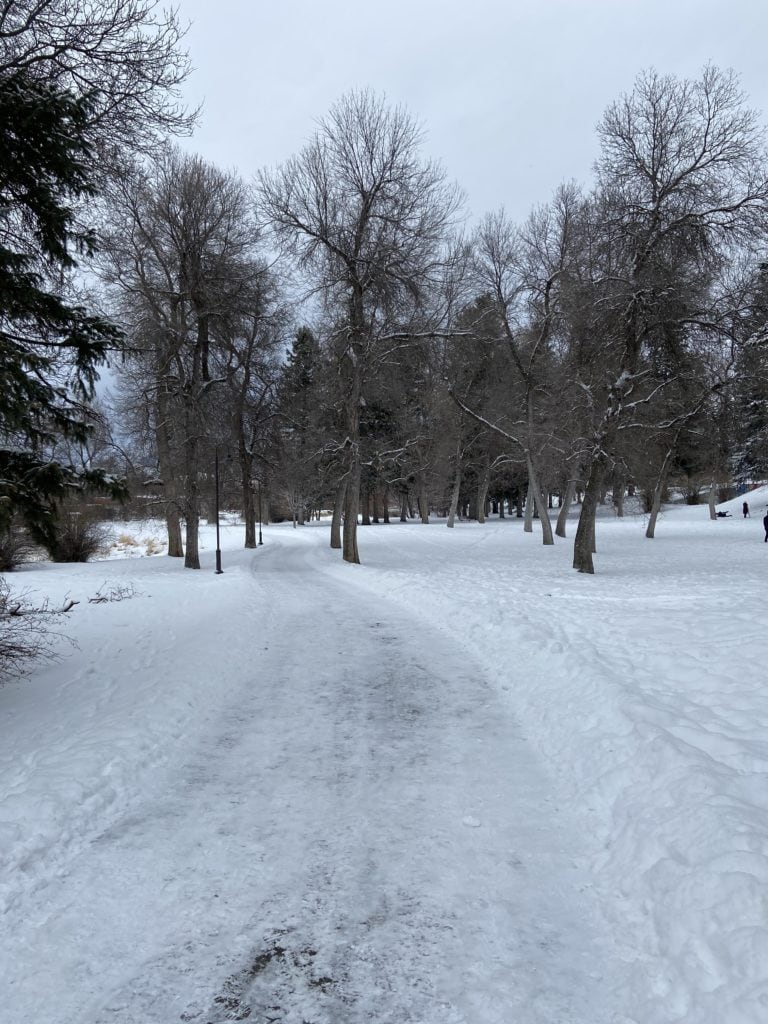 Best Winter Trails