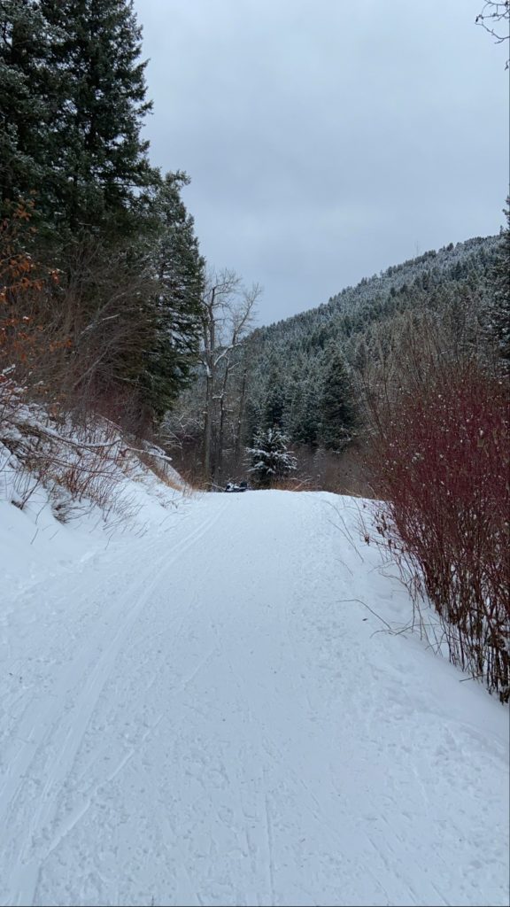 Best Winter Trails