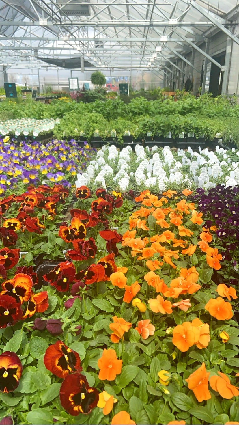 The Best Garden Centers