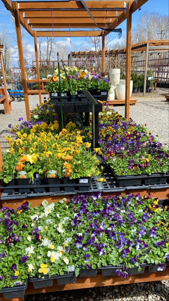 The Best Garden Centers