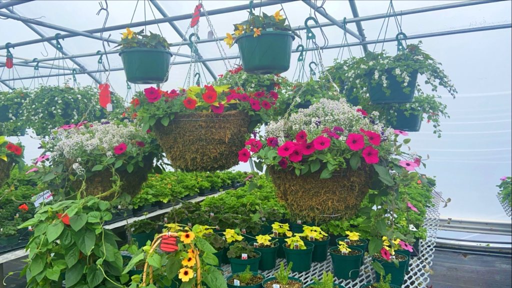 The Best Garden Centers