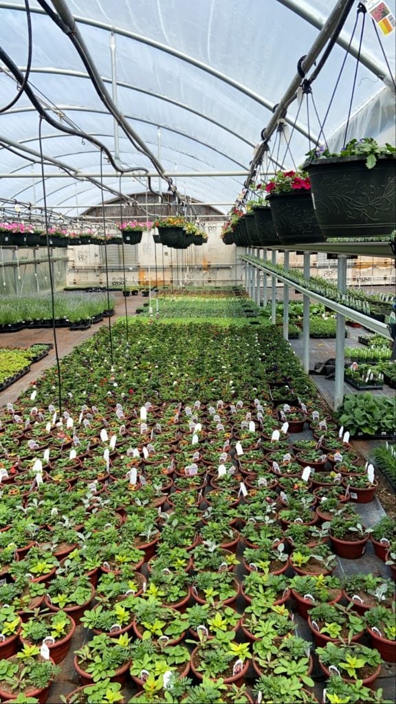 The Best Garden Centers