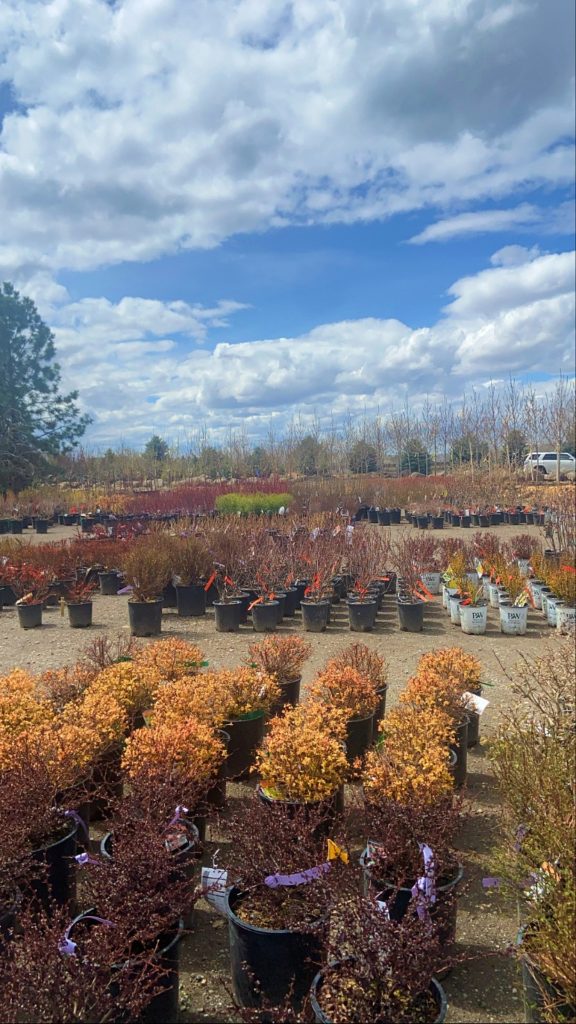 The Best Garden Centers