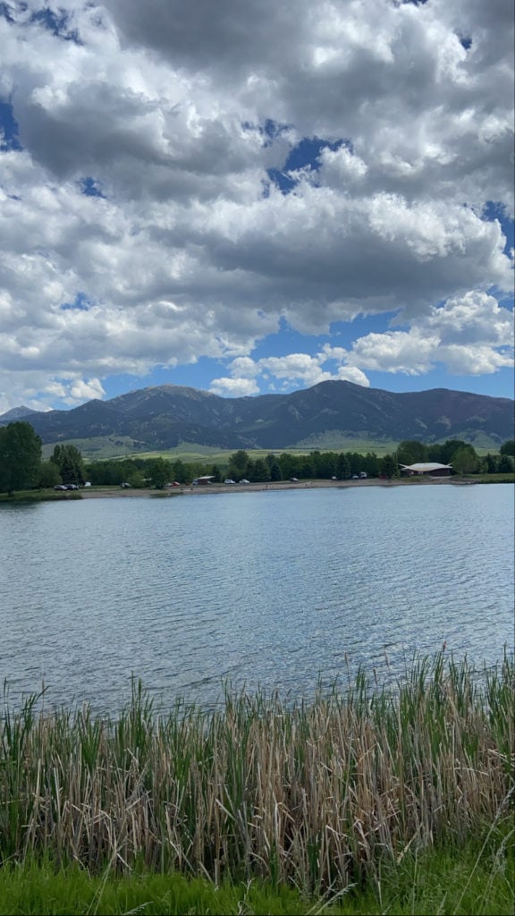 Favorite Places to Swim