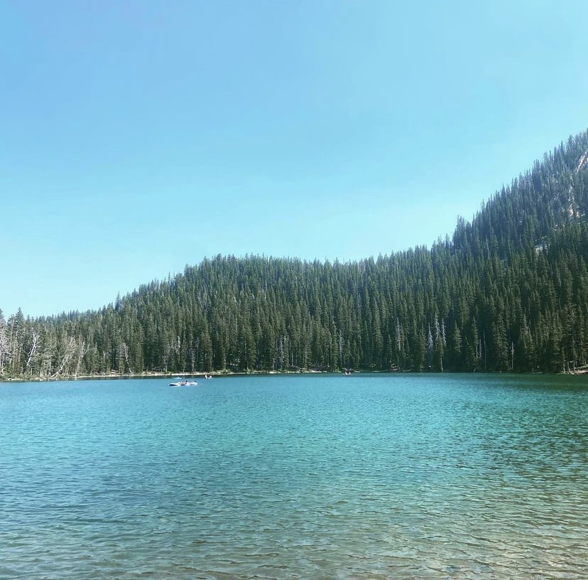 Favorite Places to Swim