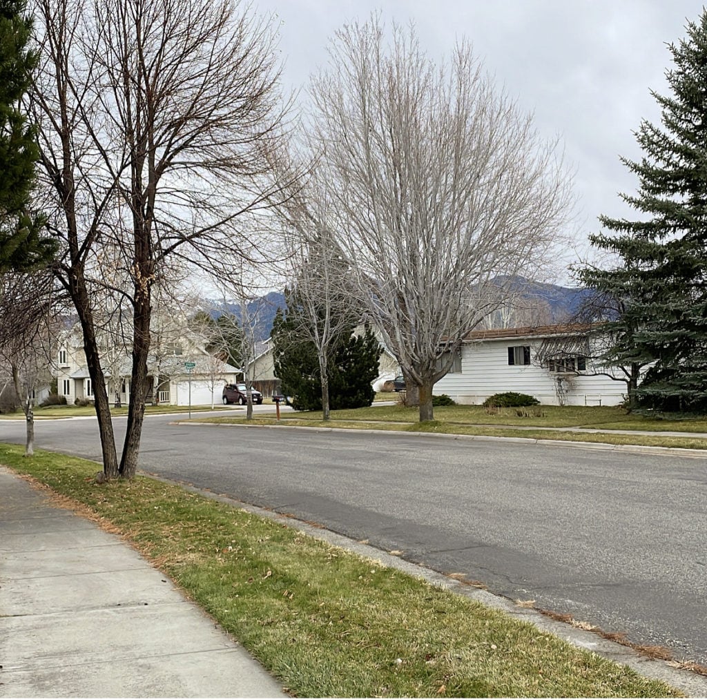 a residential street within the brentwood subdivision