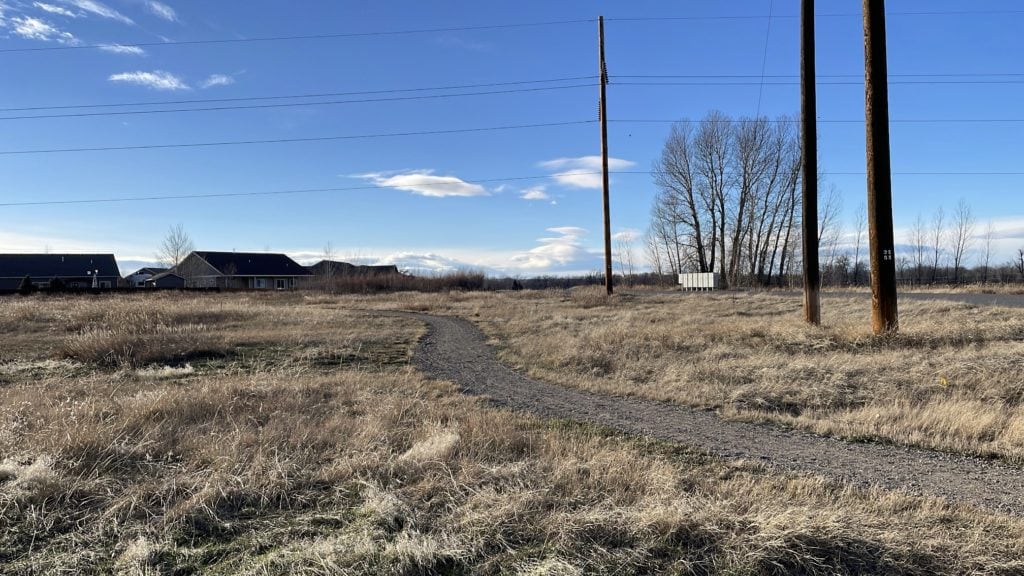 a residential street within the subdivision