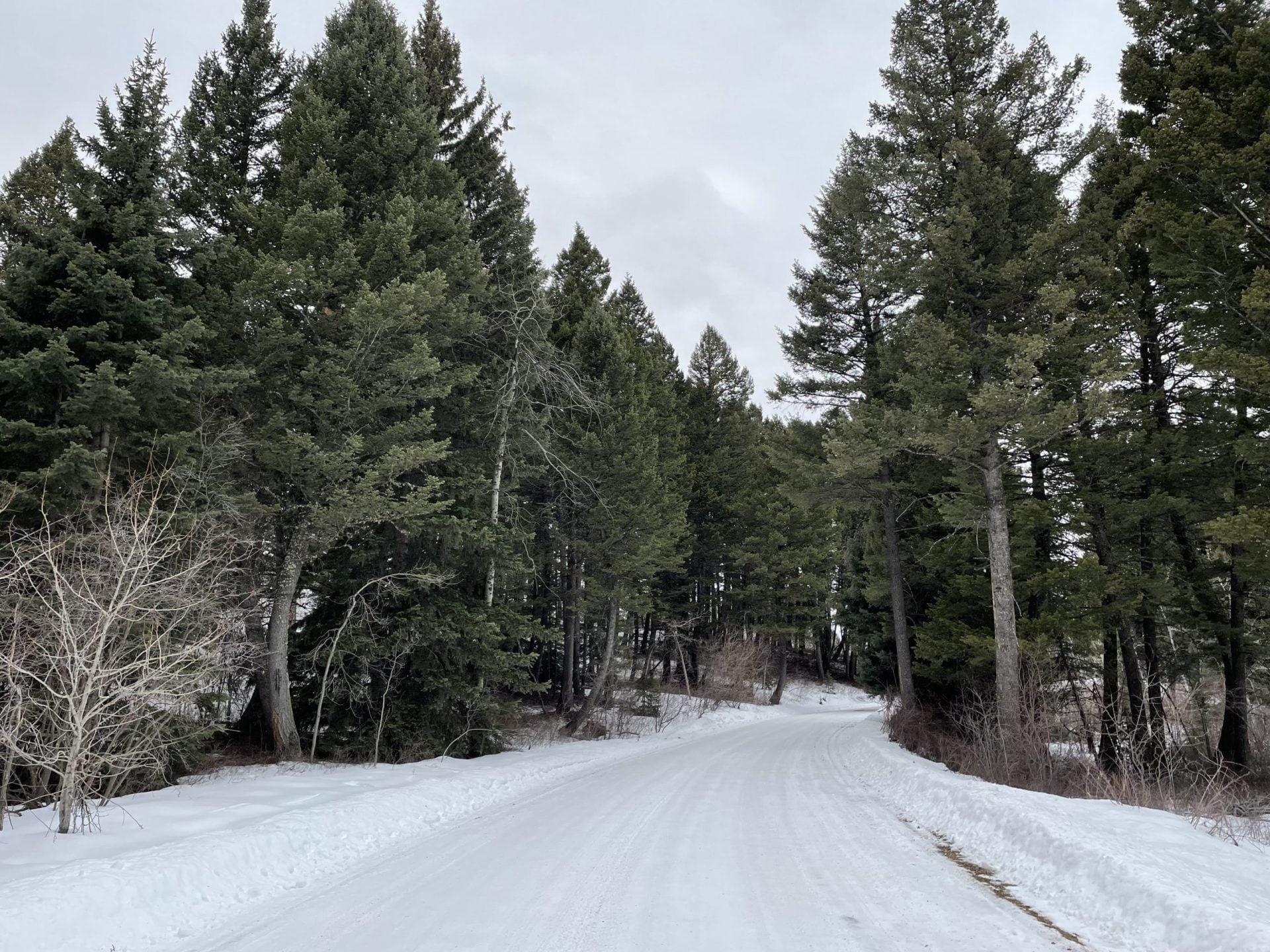 Martinez Springs