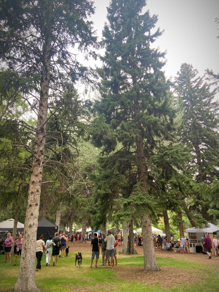 Bozeman farmers market