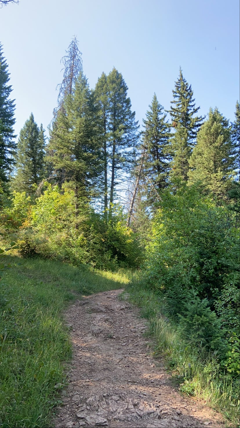 Fall Hikes