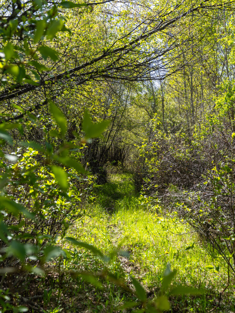 147 O’Halloran Rd, trail to river