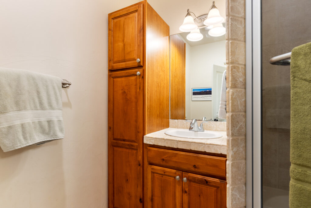 243 N Ferguson, primary bathroom, sink