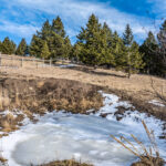 449 Minni Hall - Lower spring by garage