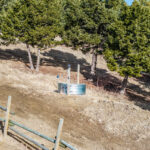 449 Minni Hall - Stock tank