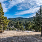 449 Minni Hall - Pasture