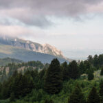 449 Minni Hall - Frog Rock summer