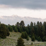 449 Minni Hall - Bridger view