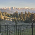 449 Minni Hall - Sunrise elk