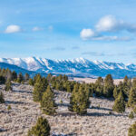 449 Minni Hall - Bridgers in snow