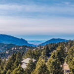 449 Minni Hall - Frog rock