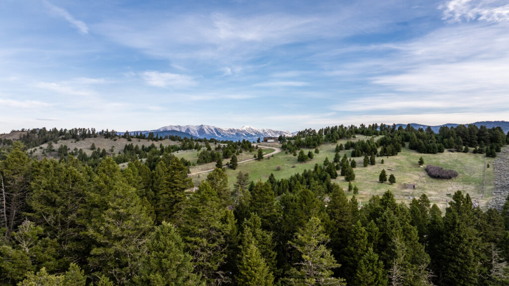 449 Minni Hall, aerial view of property