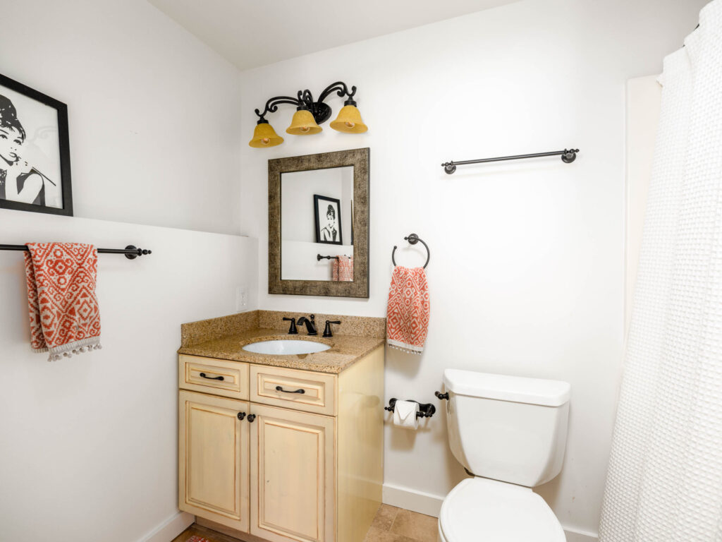 370 Star Ridge, basement bathroom