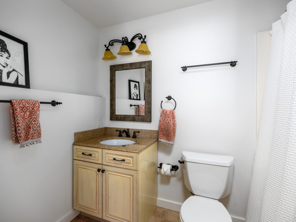370 Star Ridge, lower level bathroom