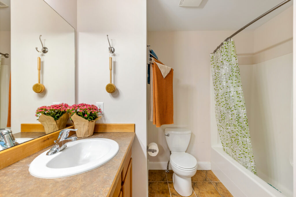 42 Indian Grove, primary bathroom