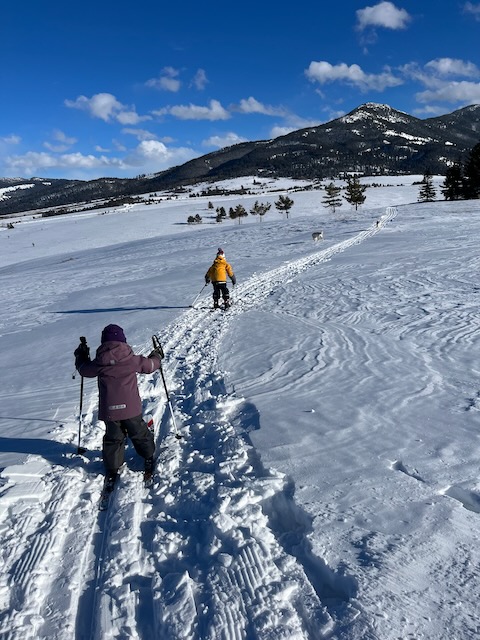 370 Star Ridge, neighborhood cross country skiing trail