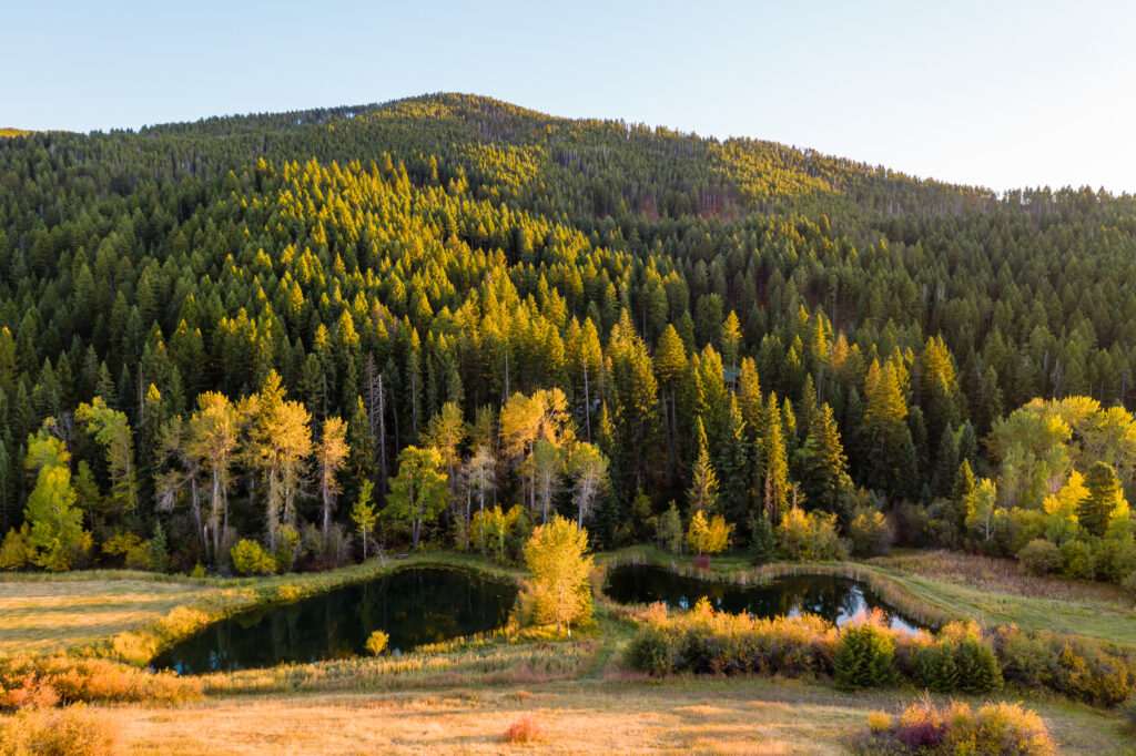 370 Star Ridge, aerial of neighborhood fishing pond