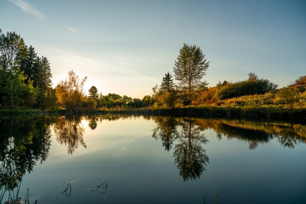 370 Star Ridge, neighborhood fishing pond