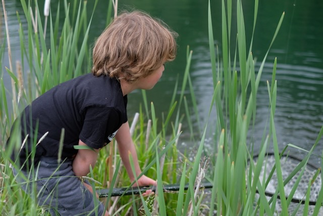 370 Star Ridge, child fishing