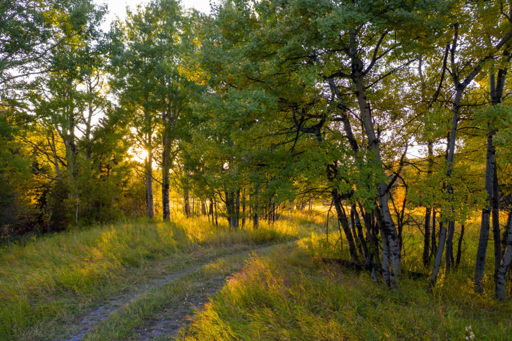 370 Star Ridge, neighborhood trail