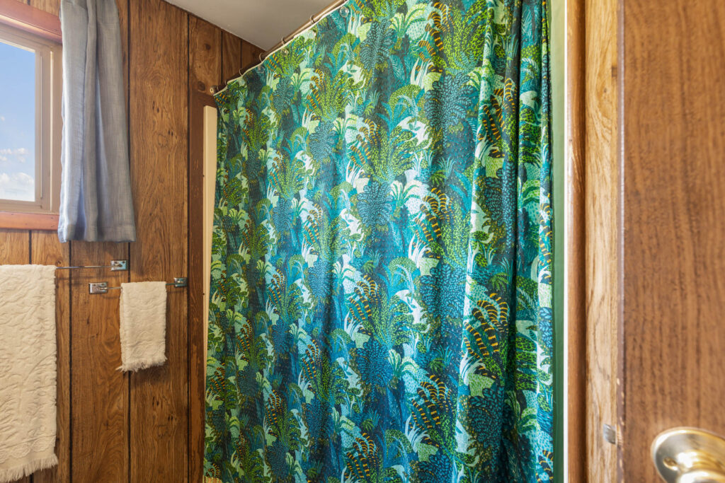 65 Arcturus, shower