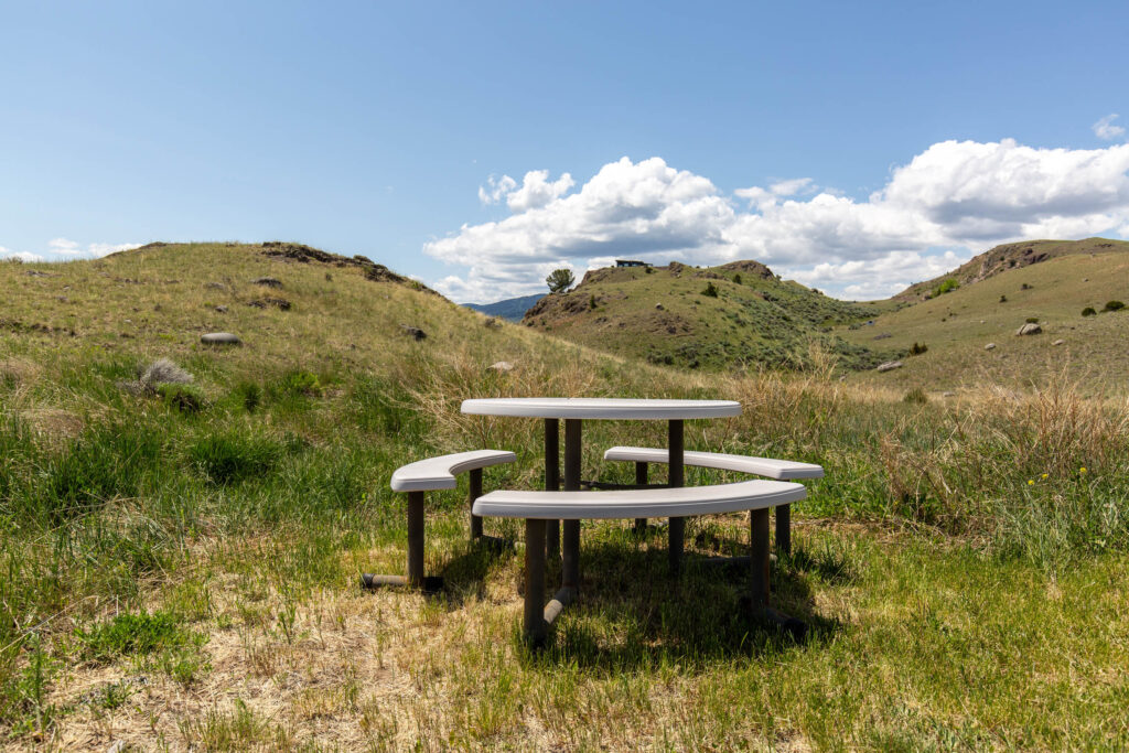 65 Arcturus, picnic table
