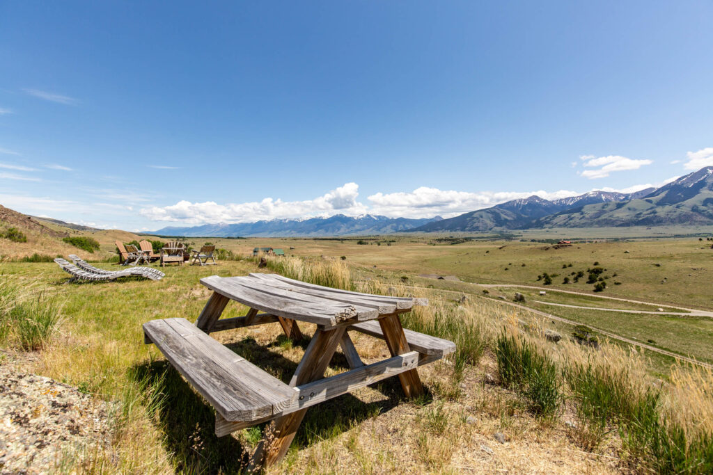65 Arcturus, picnic table