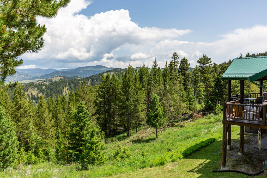 1099 Winchester, view