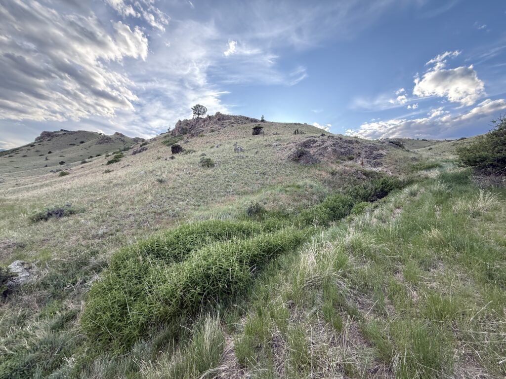 65 Arcturus, Rock formation