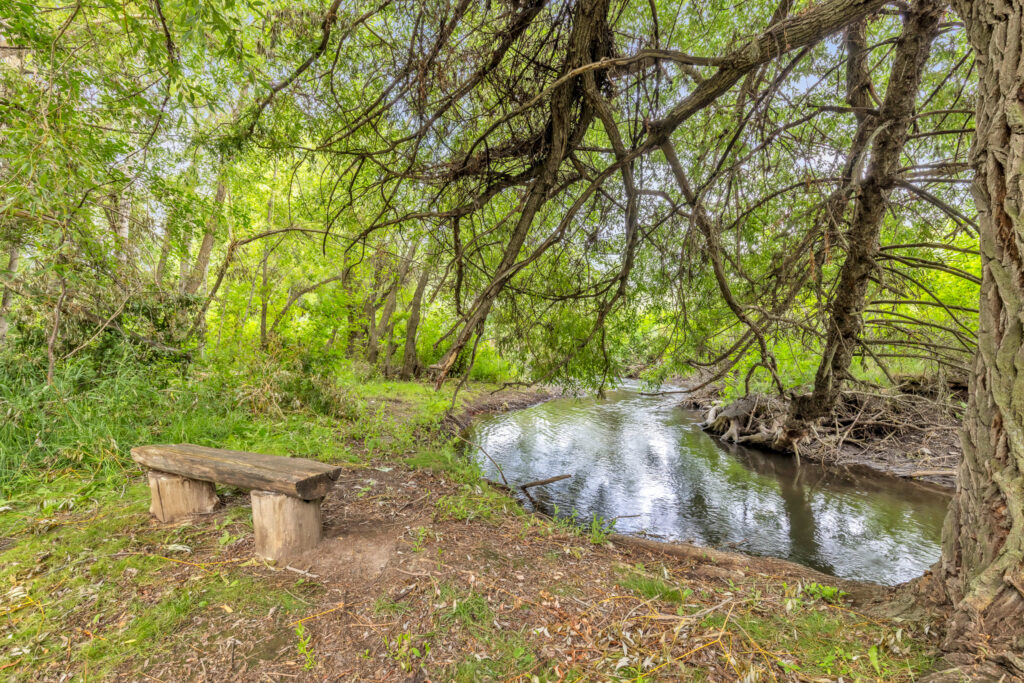 719 S Church #10, common space with Bozeman Creek
