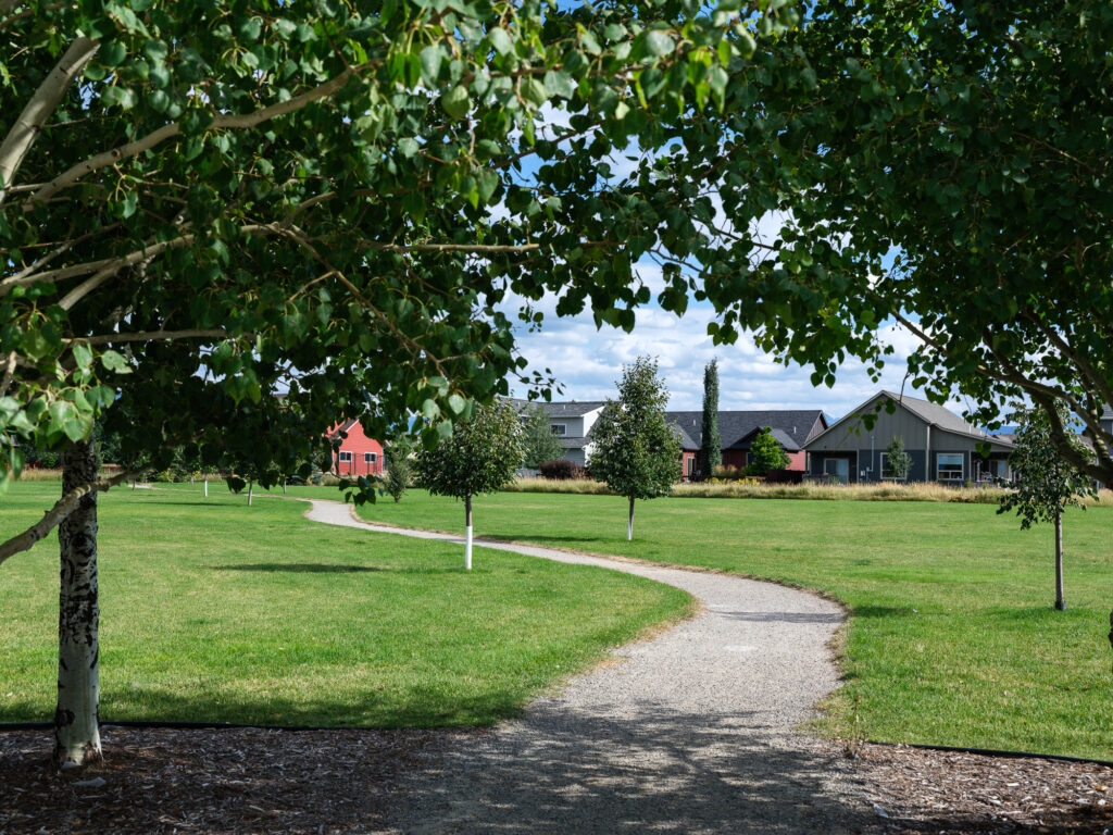 941 Saxon A, trees and path