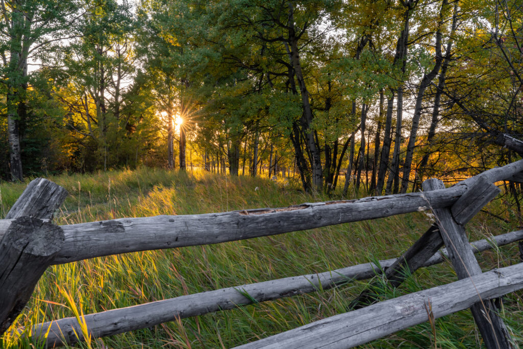 370 Star Ridge - Trail