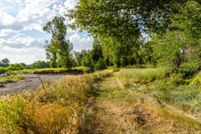 Lot 15 GRF, Belgrade, preserve