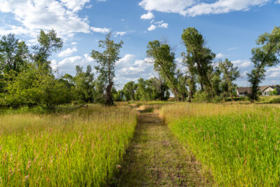 Lot 15 GRF, Belgrade, path in preserve