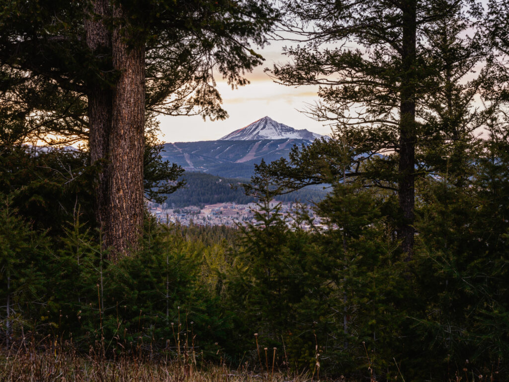 1055 Skywood Rd, Lone Mountain view through trees